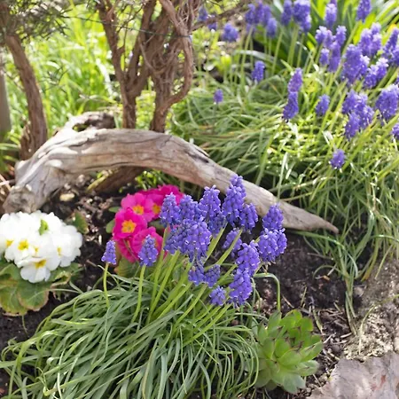 Lägenhet Lackner Teisendorf