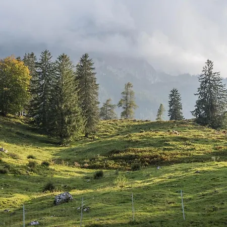 Lackner Teisendorf