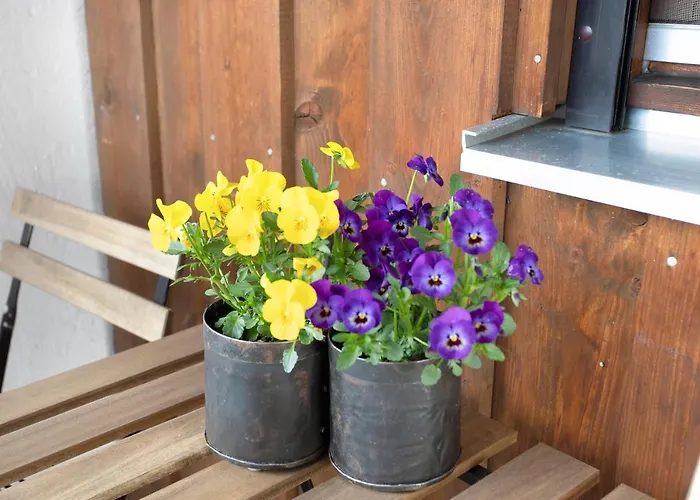 Lackner Appartamento