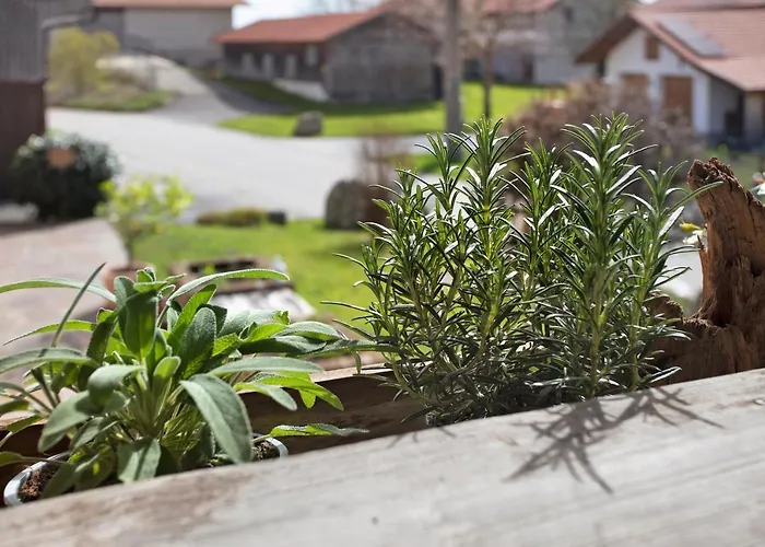 Lackner Appartamento *